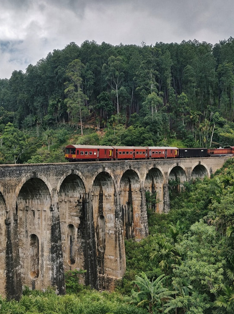 Beautiful Sri Lanka landscape